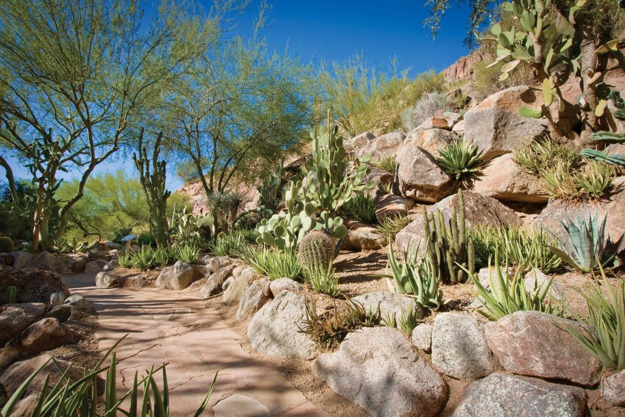 The Canyon Suites At The Phoenician, A Luxury Collection Resort, Scottsdale Paradise Valley Exteriér fotografie