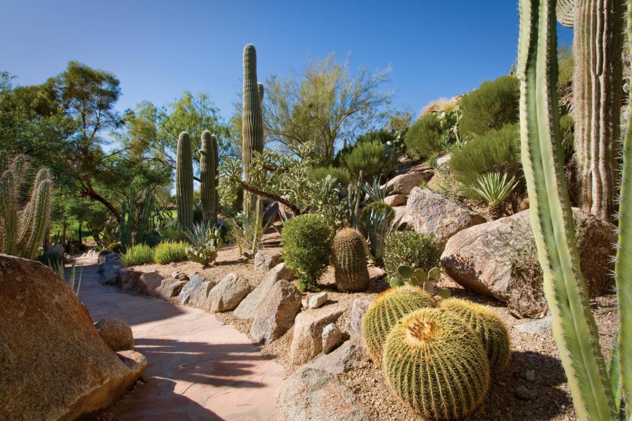 The Canyon Suites At The Phoenician, A Luxury Collection Resort, Scottsdale Paradise Valley Exteriér fotografie