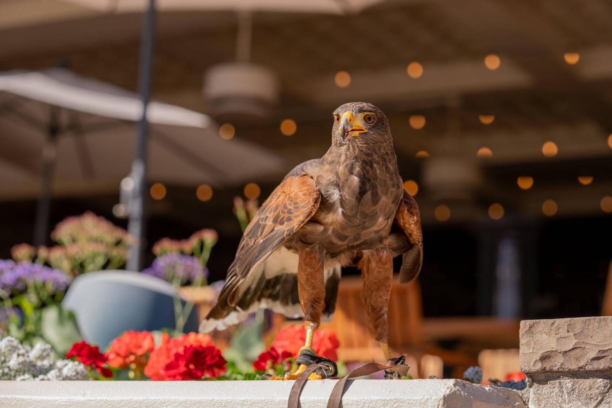 The Canyon Suites At The Phoenician, A Luxury Collection Resort, Scottsdale Paradise Valley Exteriér fotografie